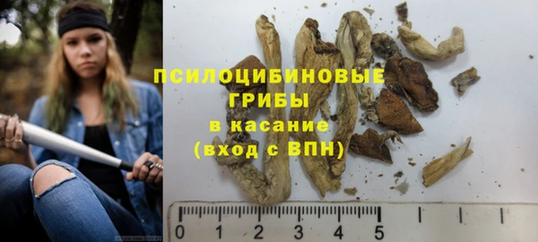 дмт Белоозёрский