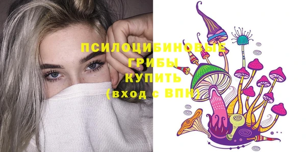 спайс Белокуриха