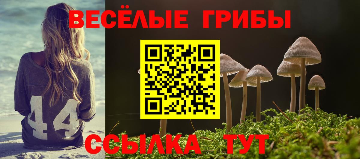 Галлюциногенные грибы GOLDEN TEACHER  Псилоцибиновые грибы GOLDEN TEACHER  Губкинский  цены наркотик  Вход с VPN 